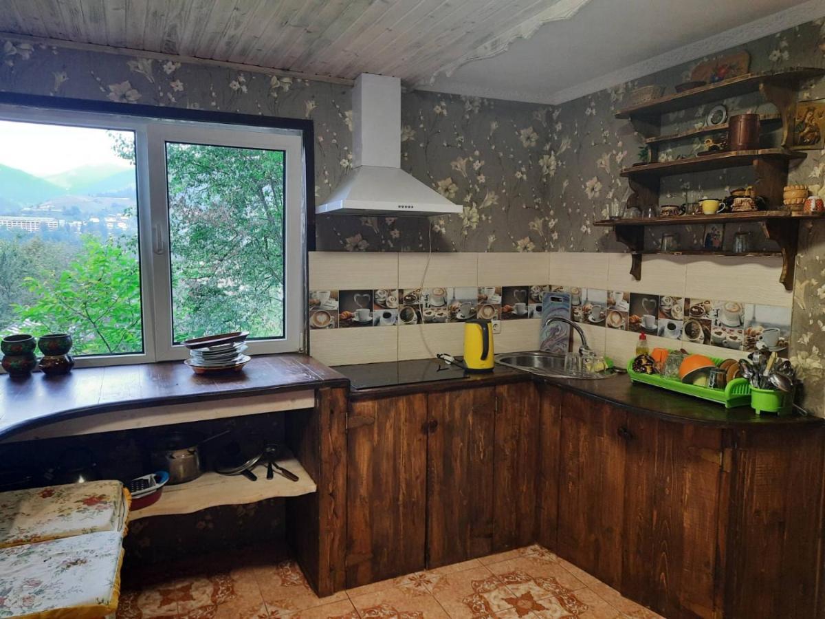 Kitica House Ξενοδοχείο Verkhovyna Εξωτερικό φωτογραφία